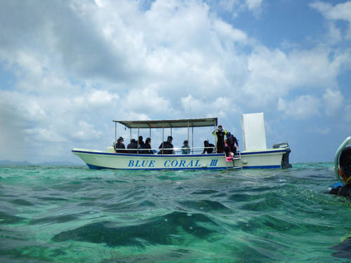 石垣島白保サンゴ2010-8