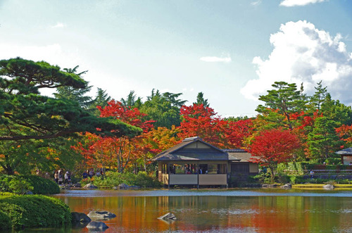 昭和記念公園201411-8