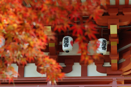 高幡不動尊201011-8