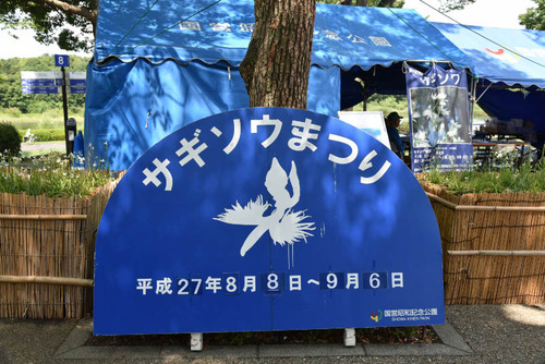 昭和記念公園201508-10