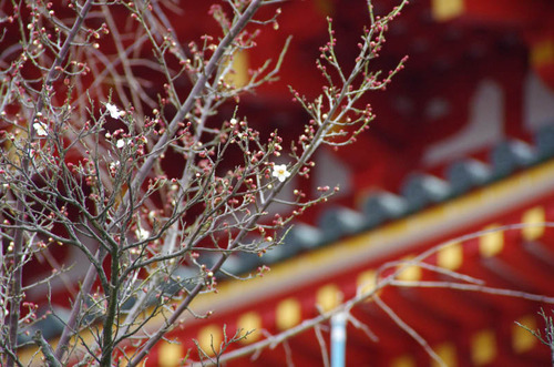 高幡不動20120226-9