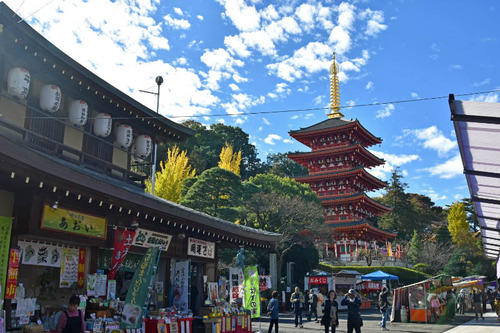 高幡不動尊201511-13