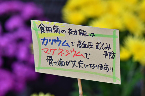 高幡不動尊201611