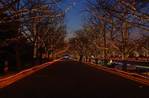 昭和記念公園201312-3