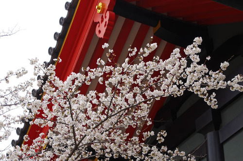 高幡不動201303-4