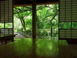 百草園090523-9