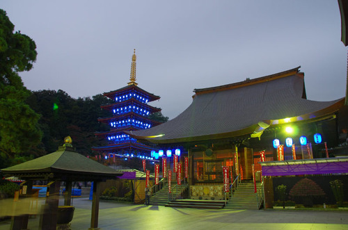 高幡不動ブルーライトアップ2013-7