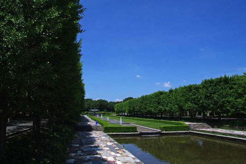 昭和記念公園201007-1