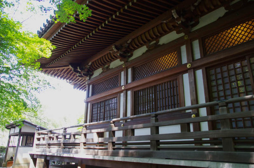 高幡不動201309-6