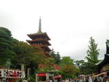 高幡不動080928-4