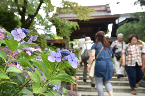 高幡不動尊201506-13