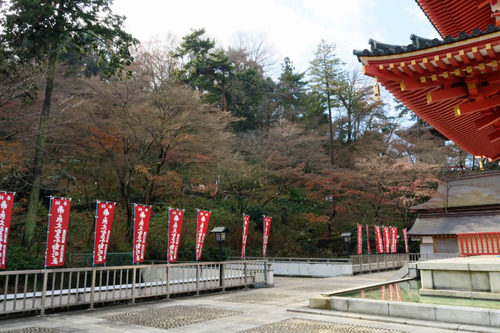 高幡不動201412-9
