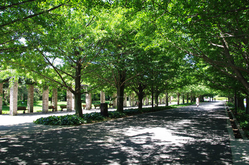 昭和記念公園201007-2