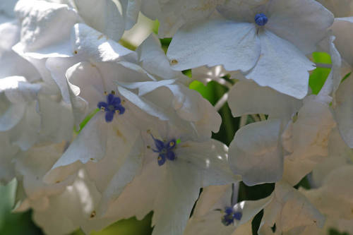 ɴ���201006-10