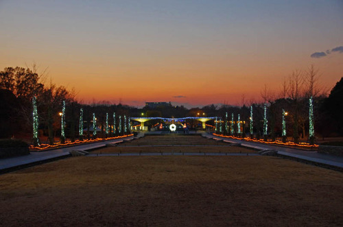 昭和記念公園201312-2