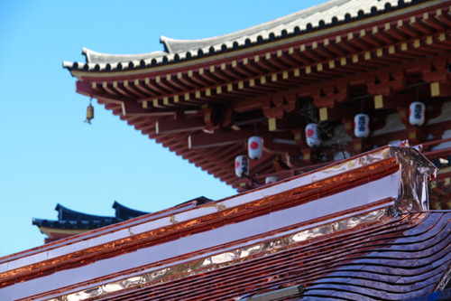高幡不動尊201012-5