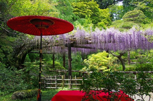 百草園201105-10