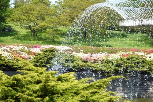 昭和記念公園201505-1