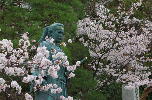 高幡不動尊201104-12