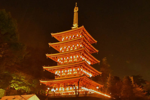 高幡不動尊万燈会2015-7