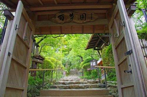京王百草園201206-1