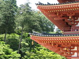 五重塔−1