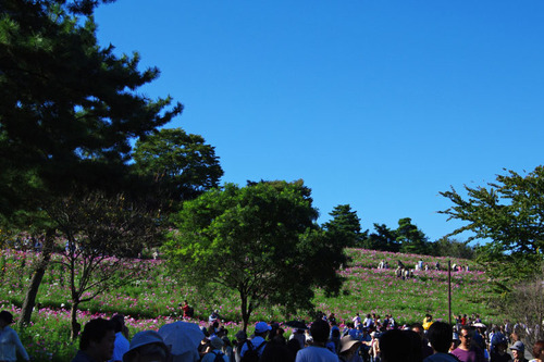 昭和記念公園201010-7