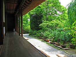 百草園090523-7
