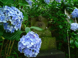 高幡不動尊090704-6