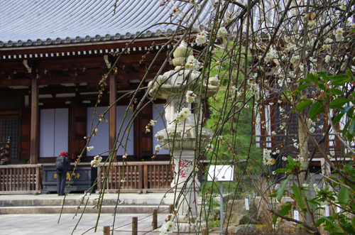 高幡不動201102-3