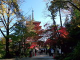 高幡不動081122-6