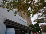 TRIGGER2008-2