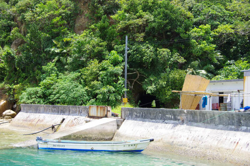 西表島201108-10
