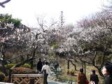 百草園内散策3