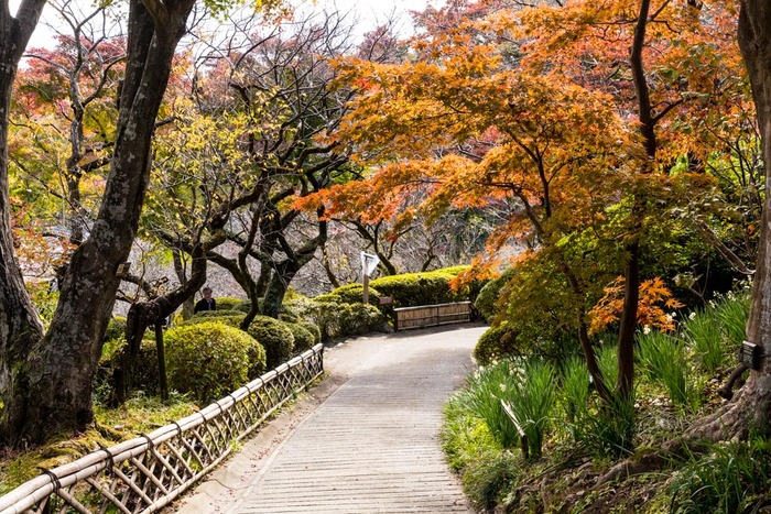 京王百草園201811