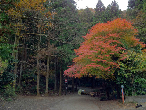 高尾山201111-2