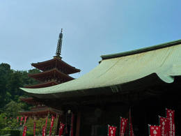 高幡不動尊090829-2