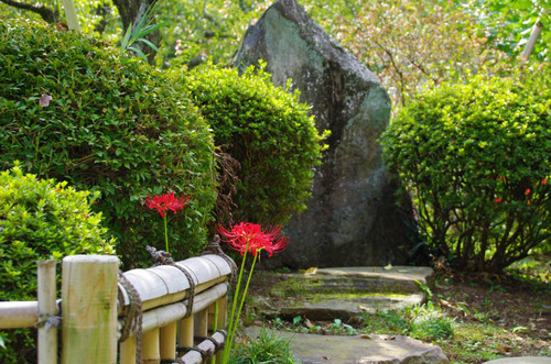 京王百草園201309-1