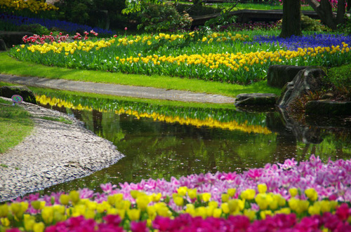 昭和記念公園20120428-7