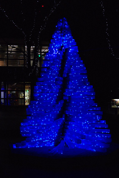 2009クリスマス-4