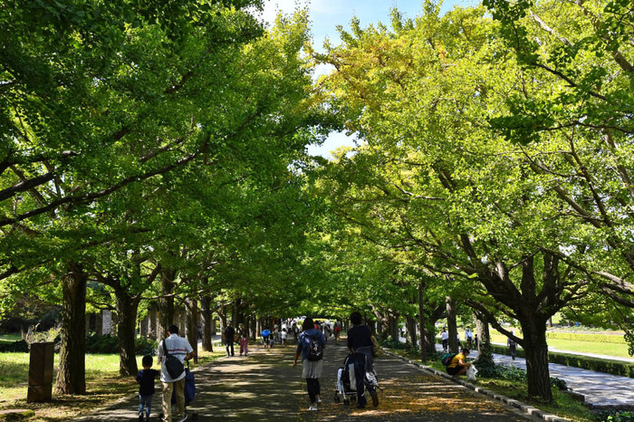 昭和記念公園201710
