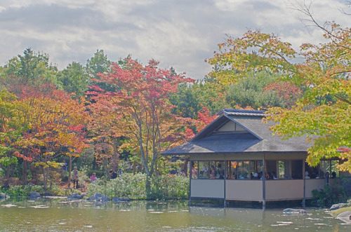 昭和記念公園201411-5
