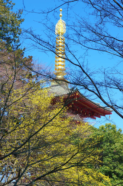 高幡不動201403-7