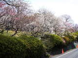 百草園外観