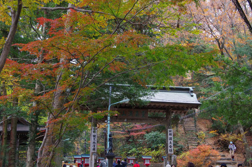 高尾山201111-15