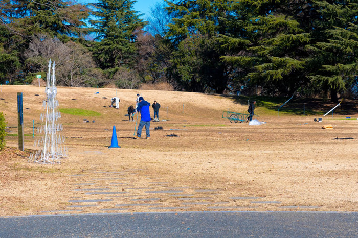 昭和記念公園201712