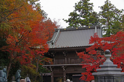 高尾山201111-12