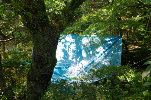 µþ²¦É´Áð±à201106-3