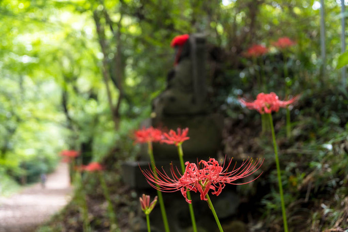 高幡不動尊201809