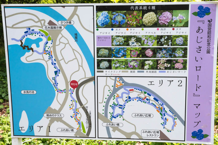 昭和記念公園201806